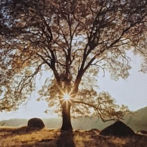 Meet your Posher, Joann